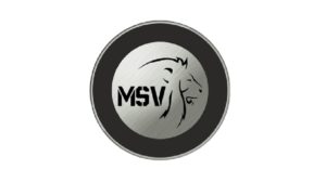Mesav